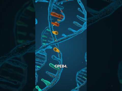 LA CURA PARA EL AUTISMO!!?