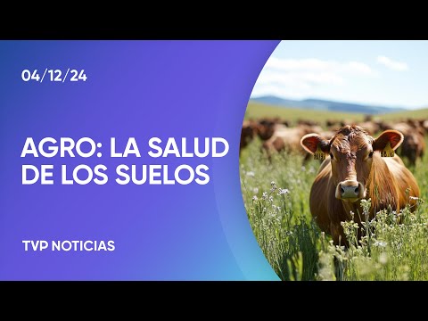 La salud de los suelos mejoró entre 20 y 30% con la pastura rotativa La salud de los suelos mejoró entre 20 y 30% con la pastura rotativa