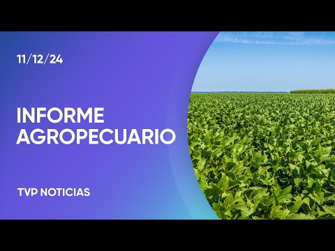 La siembra de soja ya alcanzó el 54% de cobertura en la región núcleo