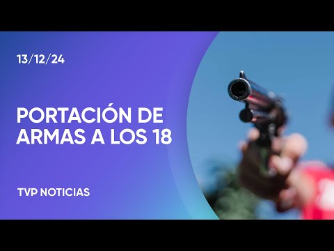 Milei bajó la edad para tener un arma en Argentina: qué implica Milei bajó la edad para tener un arma en Argentina: qué implica