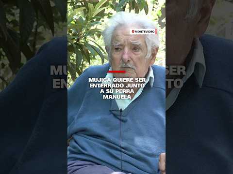 Mujica quiere ser enterrado junto a su perra Manuela