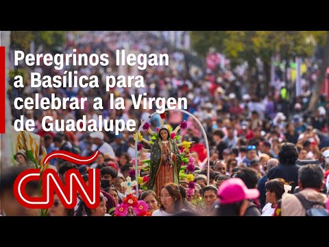 Peregrinos llegan a Basílica para celebrar a la Virgen de Guadalupe en México Peregrinos llegan a Basílica para celebrar a la Virgen de Guadalupe en México