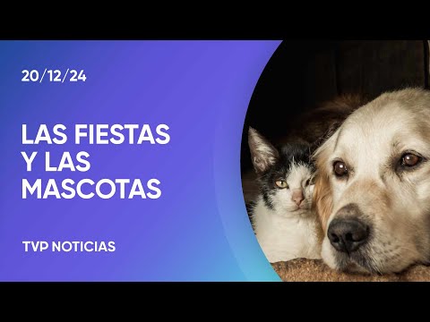 ¿Por qué es mejor no utilizar pirotecnia