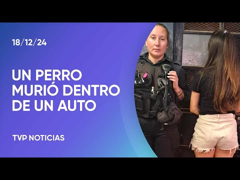 Rosario: dejó a su perro encerrado en el auto, el animal murió y ella terminó detenida Rosario: dejó a su perro encerrado en el auto, el animal murió y ella terminó detenida