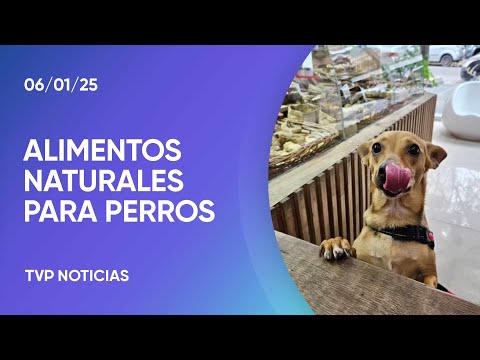 Chumbis: primera panadería saludable para perros Chumbis: primera panadería saludable para perros