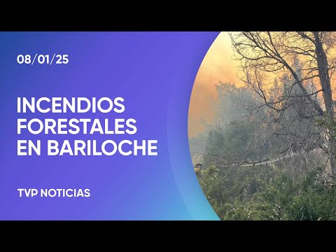Continúa el combate contra los incendios en Nahuel Huapi
