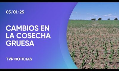 Cosecha gruesa: Más maíz y menos soja que lo previsto