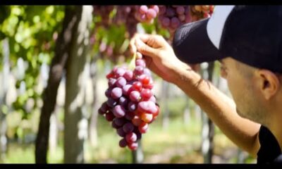Daniel Bollero y Damián Lurati, Sol Puntano