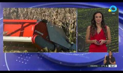 El Gobierno confirmó la baja de las retenciones al campo