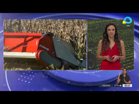 El Gobierno confirmó la baja de las retenciones al campo