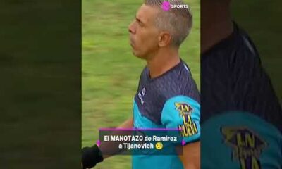 El manotazo de RamÃ­rez a Tijanovich y MastrÃ¡ngelo amonestÃ³ al jugador de Riestra ð¨
