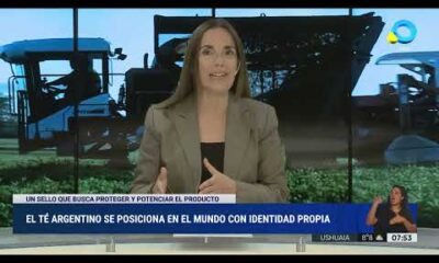 El té argentino se posiciona en el mundo con identidad propia