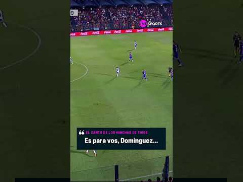 “ES PARA VOS, ES PARA VOS, DOMÃNGUEZ…” ð¶