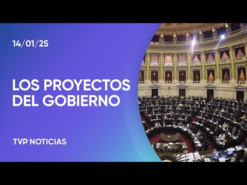 Habrá sesiones extraordinarias para tratamiento de Ficha Limpia, Ley Antimafia y Código Penal Habrá sesiones extraordinarias para tratamiento de Ficha Limpia, Ley Antimafia y Código Penal