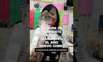 La sopa de serpiente como manjar en el Año Nuevo chino