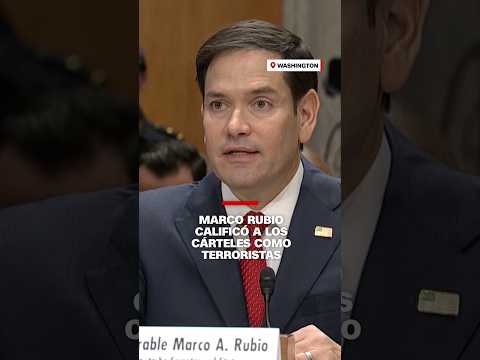 Marco Rubio calificó a los cárteles como terroristas