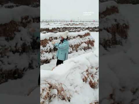 Perdidos en el laberinto invernal
