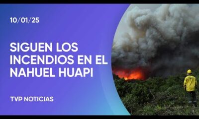 ¿Qué hacer para evitar los incendios forestales?