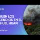 ¿Qué hacer para evitar los incendios forestales?