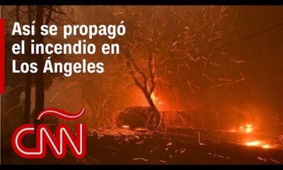 Resumen de los incendios en Los Ángeles, California: daños, víctimas y noticias – 8 de enero