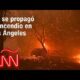 Resumen de los incendios en Los Ángeles, California: daños, víctimas y noticias – 8 de enero