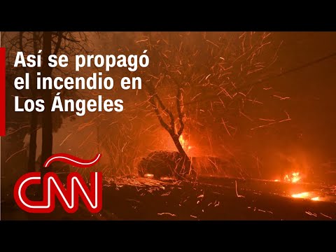 Resumen de los incendios en Los Ángeles, California: daños, víctimas y noticias – 8 de enero