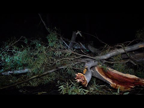 Ricardo Endeiza y Toti Videla recorren las calles afectadas de Juana Koslay