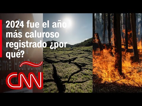 Sequía, altas temperaturas e incendios forestales: así fue el 2024