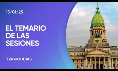 Sesiones extraordinarias: cuál es el temario que tratará el Congreso