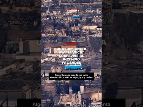 Una camioneta VW “mágica” sobrevive al incendio Palisades Una camioneta VW “mágica” sobrevive al incendio Palisades