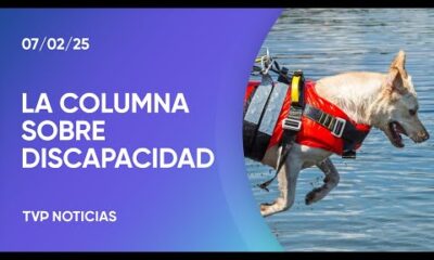 Cómo trabajan los animales entrenados para asistir en desastres a personas con discapacidad