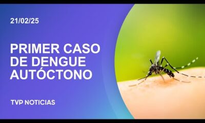 Confirman el primer caso de dengue autóctono en la ciudad de Santa Fe