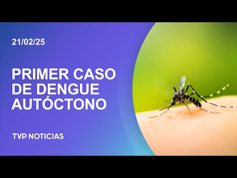 Confirman el primer caso de dengue autóctono en la ciudad de Santa Fe Confirman el primer caso de dengue autóctono en la ciudad de Santa Fe
