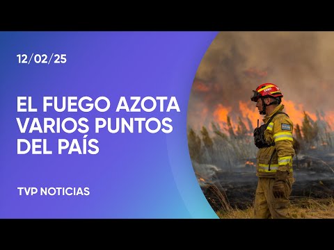 Continúan los incendios en Corrientes y la Patagonia: cómo sigue el clima en estas zonas Continúan los incendios en Corrientes y la Patagonia: cómo sigue el clima en estas zonas