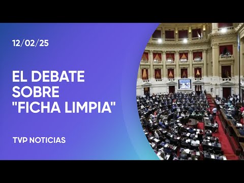 Diputados debate el proyecto de Ficha Limpia