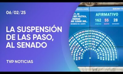 Diputados dio media sanción a la suspensión de las PASO