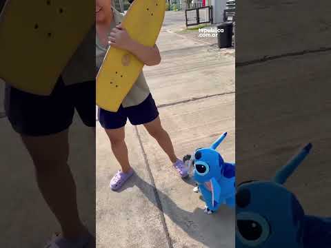 El perrito influencer El perrito influencer