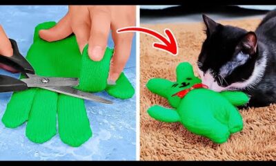 🐾✨ ¡LOS MEJORES JUGUETES DIY PARA MASCOTAS QUE HARÁS NUNCA!