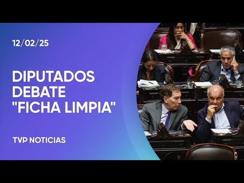 Ficha Limpia: los testimonios de los diputados Pichetto, Valdés y Villaverde Ficha Limpia: los testimonios de los diputados Pichetto, Valdés y Villaverde