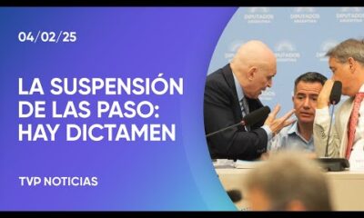 Hay dictamen para tratar el proyecto de suspensión de las PASO