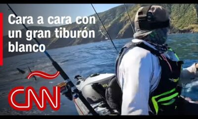 Increíble y aterrador: un encuentro cara a cara con un tiburón blanco