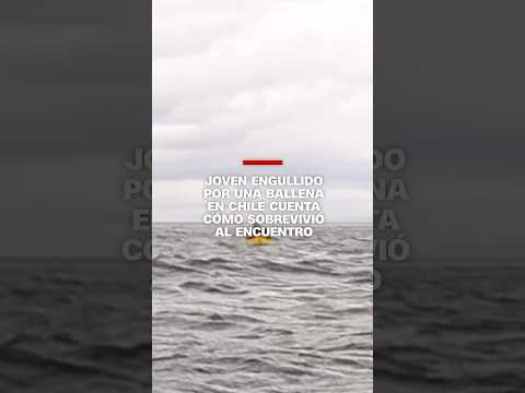 Joven engullido por una ballena en Chile cuenta cómo sobrevivió al encuentro