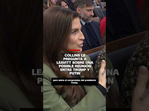 Karoline Leavitt no confirma que haya acuerdos previos para la reunión entre Putin y Trump Karoline Leavitt no confirma que haya acuerdos previos para la reunión entre Putin y Trump