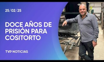 Le dieron 12 años a Cositorto por estafas