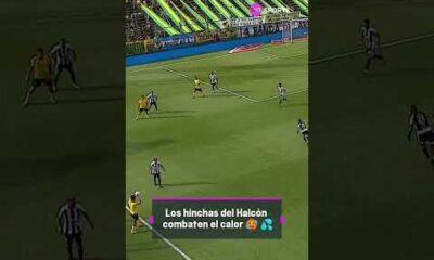 Los hinchas del HalcÃ³n combaten el calor ð¥µ ð¦