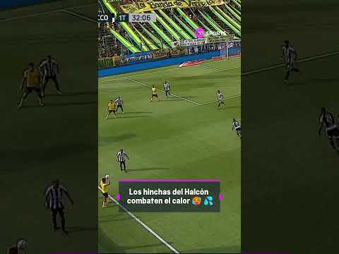 Los hinchas del HalcÃ³n combaten el calor ð¥µ ð¦