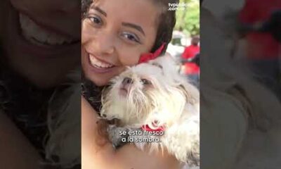 Los perros tuvieron su Carnaval de Río