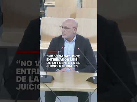 “No vi nada”, dice entrenador Luis de la Fuente en el juicio a Rubiales