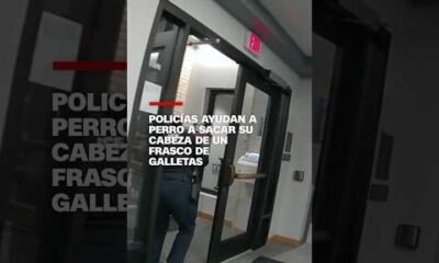 Policías ayudan a perro a sacar su cabeza de un frasco de galletas