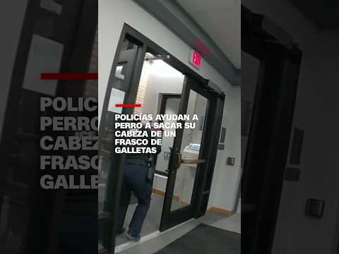 Policías ayudan a perro a sacar su cabeza de un frasco de galletas